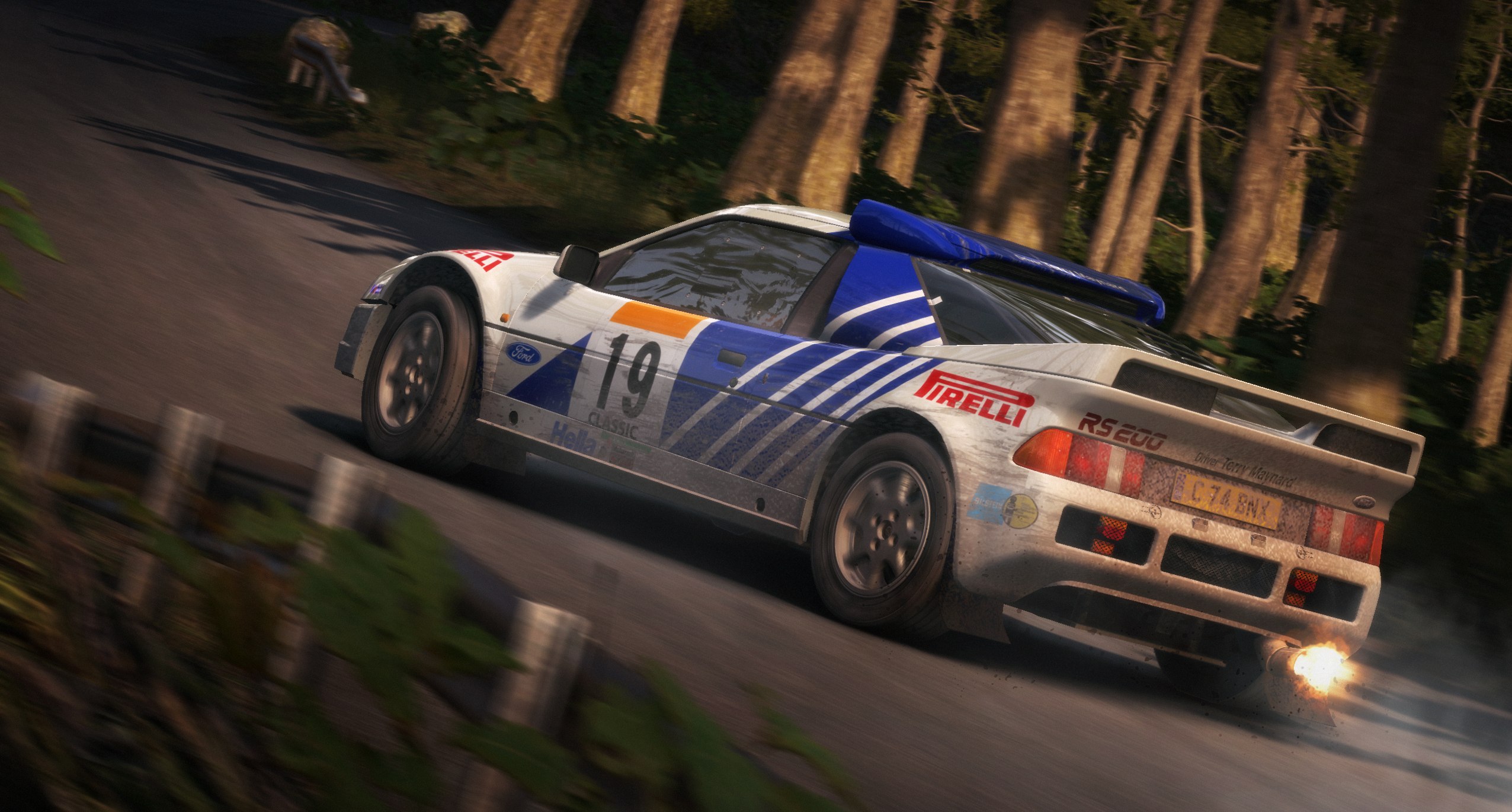 DiRT Rally - Imagen 19